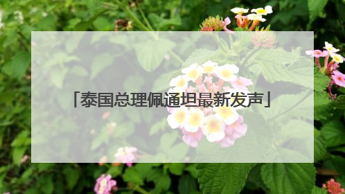 泰国总理佩通坦最新发声