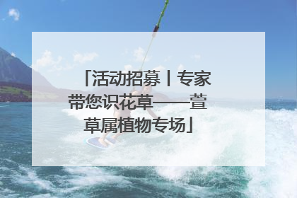 活动招募丨专家带您识花草——萱草属植物专场