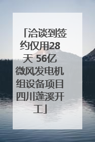 洽谈到签约仅用28天 56亿微风发电机组设备项目四川蓬溪开工