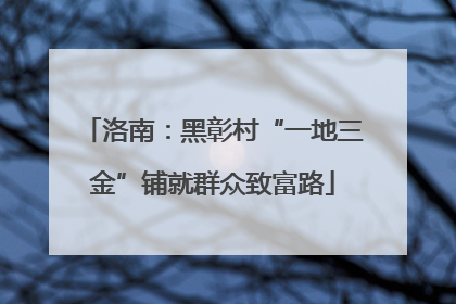 洛南：黑彰村“一地三金”铺就群众致富路