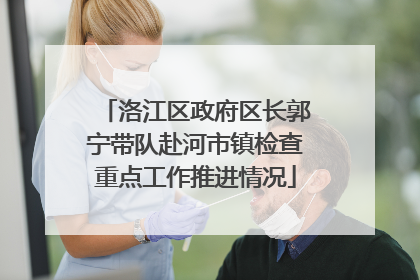 洛江区政府区长郭宁带队赴河市镇检查重点工作推进情况