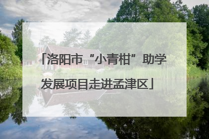 洛阳市“小青柑”助学发展项目走进孟津区