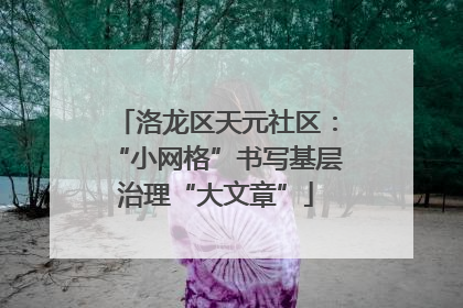洛龙区天元社区：“小网格”书写基层治理“大文章”