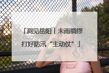 洞见岳阳丨未雨绸缪 打好防汛“主动仗”