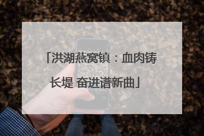 洪湖燕窝镇：血肉铸长堤 奋进谱新曲