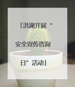 洪湖开展“安全宣传咨询日”活动