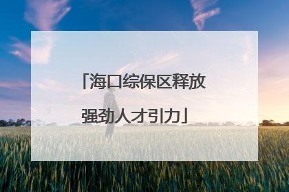 海口综保区释放强劲人才引力