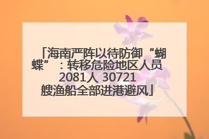 海南严阵以待防御“蝴蝶”：转移危险地区人员2081人 30721艘渔船全部进港避风
