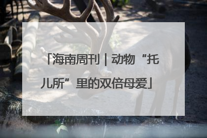 海南周刊｜动物“托儿所”里的双倍母爱