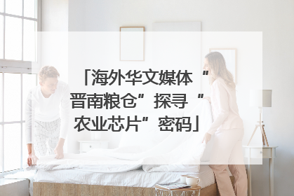 海外华文媒体“晋南粮仓”探寻“农业芯片”密码