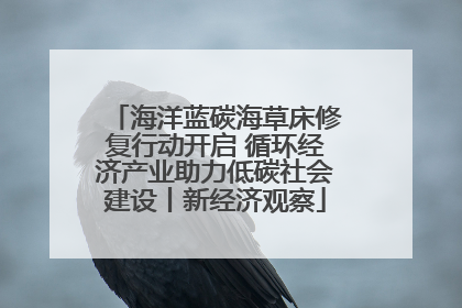 海洋蓝碳海草床修复行动开启 循环经济产业助力低碳社会建设丨新经济观察