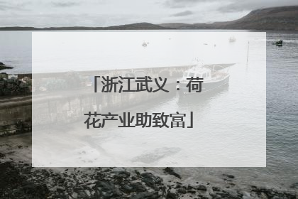 浙江武义：荷花产业助致富