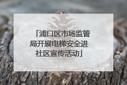 浦口区市场监管局开展电梯安全进社区宣传活动