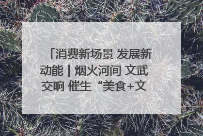 消费新场景 发展新动能｜烟火河间 文武交响 催生“美食+文化”消费新场景