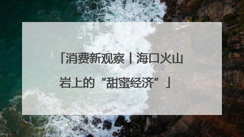 消费新观察丨海口火山岩上的“甜蜜经济”