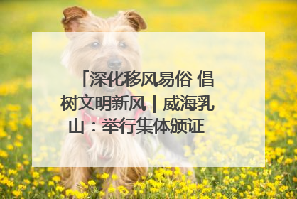 深化移风易俗 倡树文明新风｜威海乳山：举行集体颁证 倡导文明婚俗