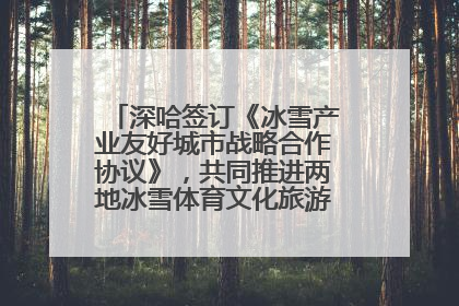 深哈签订《冰雪产业友好城市战略合作协议》，共同推进两地冰雪体育文化旅游高质量发展