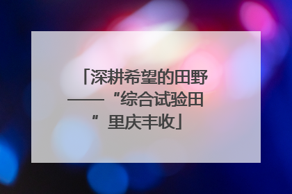 深耕希望的田野——“综合试验田”里庆丰收