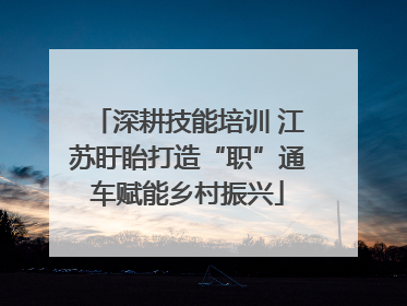 深耕技能培训 江苏盱眙打造“职”通车赋能乡村振兴
