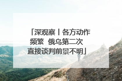 深观察丨各方动作频繁  俄乌第二次直接谈判前景不明