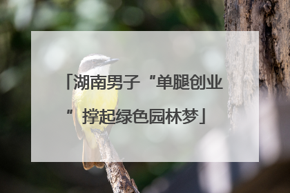 湖南男子“单腿创业”撑起绿色园林梦