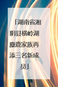 湖南省湘阴县横岭湖麋鹿家族再添三名新成员