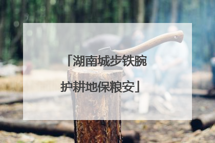 湖南城步铁腕护耕地保粮安