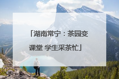 湖南常宁：茶园变课堂 学生采茶忙