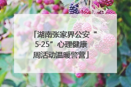 湖南张家界公安“5·25”心理健康周活动温暖警营
