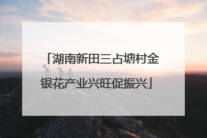湖南新田三占塘村金银花产业兴旺促振兴