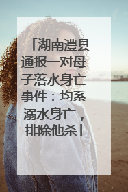 湖南澧县通报一对母子落水身亡事件：均系溺水身亡，排除他杀