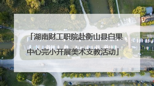 湖南财工职院赴衡山县白果中心完小开展美术支教活动