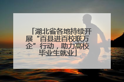 湖北省各地持续开展“百县进百校联万企”行动，助力高校毕业生就业