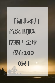湖北秭归首次出现海南鳽！全球仅存1000只