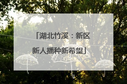 湖北竹溪：新区新人播种新希望