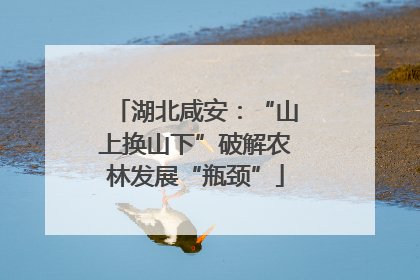 湖北咸安：“山上换山下”破解农林发展“瓶颈”