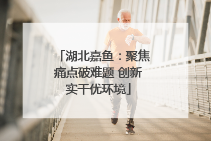 湖北嘉鱼：聚焦痛点破难题 创新实干优环境
