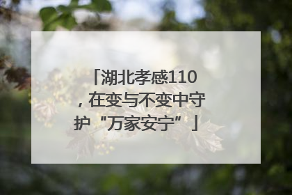 湖北孝感110，在变与不变中守护“万家安宁”