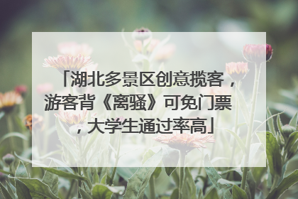 湖北多景区创意揽客，游客背《离骚》可免门票，大学生通过率高