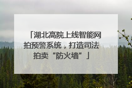 湖北高院上线智能网拍预警系统，打造司法拍卖“防火墙”