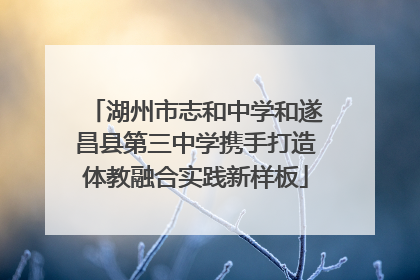 湖州市志和中学和遂昌县第三中学携手打造体教融合实践新样板