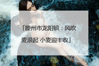 滕州市龙阳镇：风吹麦浪起 小麦迎丰收
