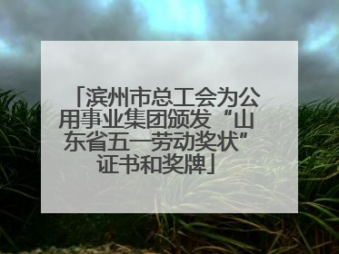 滨州市总工会为公用事业集团颁发“山东省五一劳动奖状”证书和奖牌