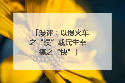 漫评：以慢火车之“慢”载民生幸福之“快”