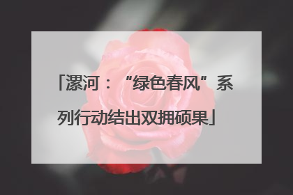 漯河：“绿色春风”系列行动结出双拥硕果