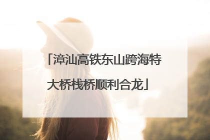 漳汕高铁东山跨海特大桥栈桥顺利合龙