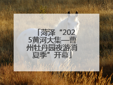 菏泽“2025黄河大集—曹州牡丹园夜游消夏季”开幕