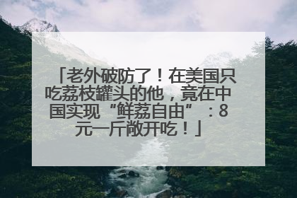老外破防了！在美国只吃荔枝罐头的他，竟在中国实现“鲜荔自由”：8元一斤敞开吃！