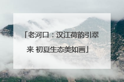 老河口：汉江荷韵引翠来 初夏生态美如画