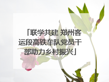 联学共建 郑州客运段高铁车队党员干部助力乡村振兴